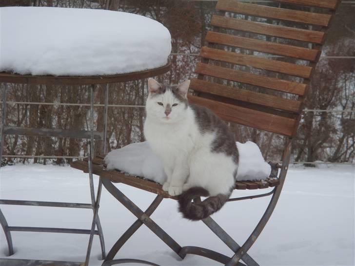 Blanding af racer » Lucky - Rip, 19.07.2011 - <3 billede 15