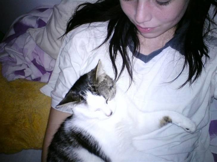 Huskat Tzasiki Elvis Hudini - Mig og Tzasiki nusser og hygger en kedelige sygedag med regnvejr <3 billede 5