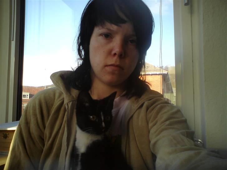 Huskat Charlie R.I.P - her har jeg lige fået charlie billede 2