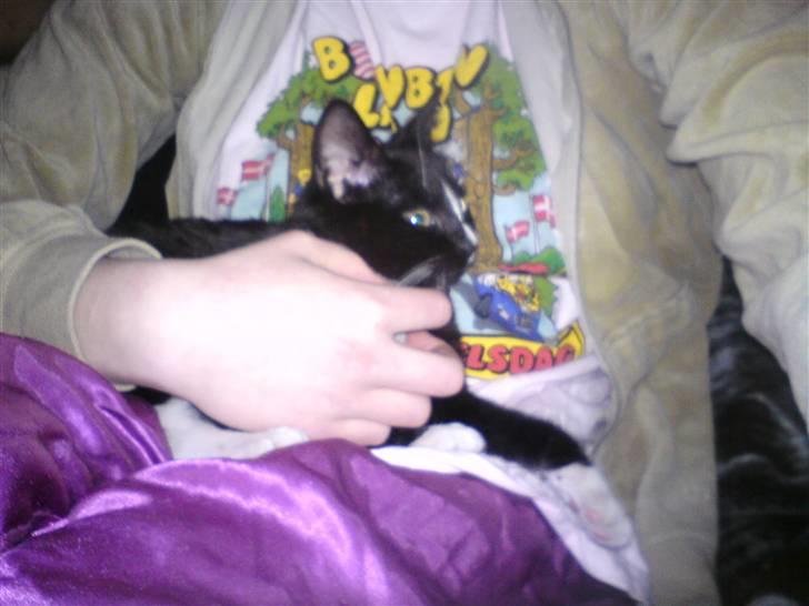 Huskat Charlie R.I.P - her slapper hun af på mig billede 4