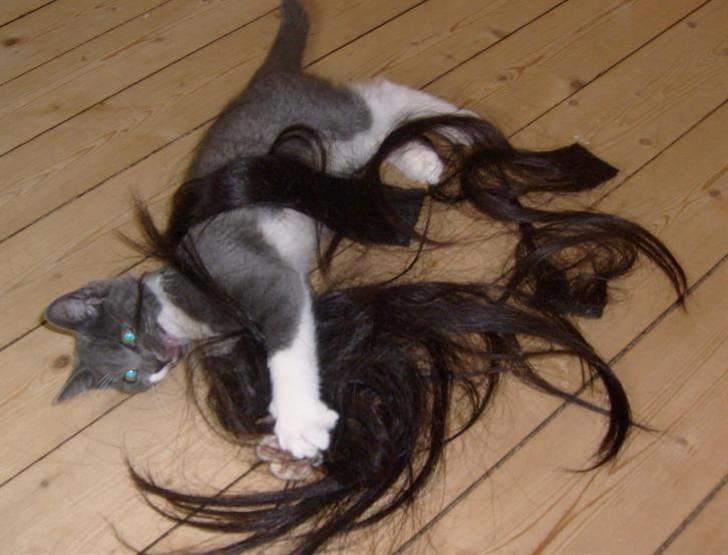 Huskat Fie - Jeg er en værre bandit! Jeg synes de her er rigtig sjove at lege med! billede 15