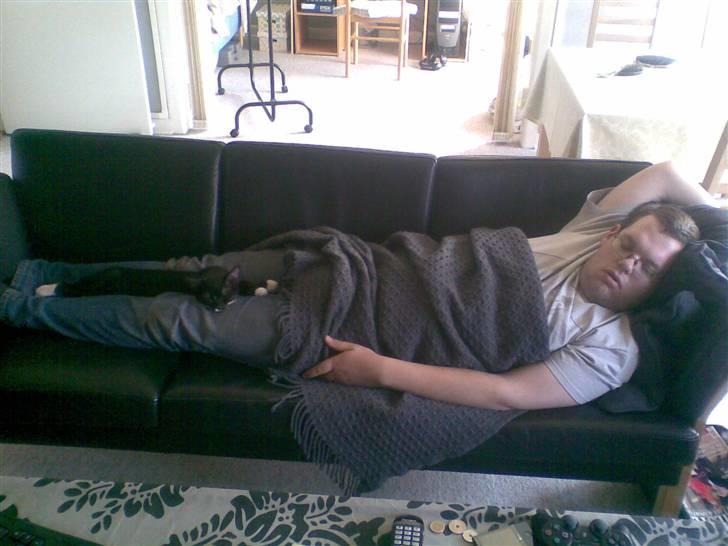 Huskat Rocky - (09/04-09) billede 11