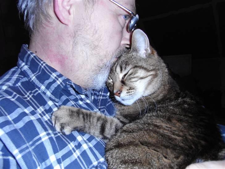 Blanding af racer Miv RIP - Far´s lille putte gøj. :´D billede 16