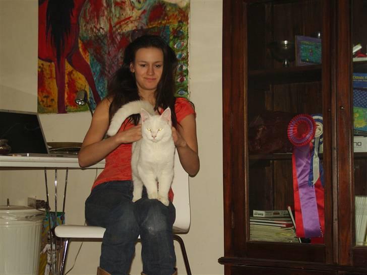 Tyrkisk Angora Lily White von Isadora billede 19