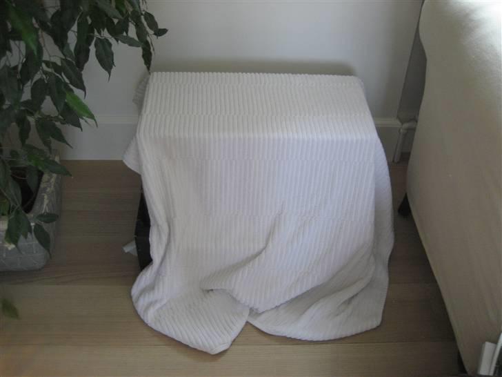 Huskat Smukkemis - tykkemis er gået i kassen billede 5