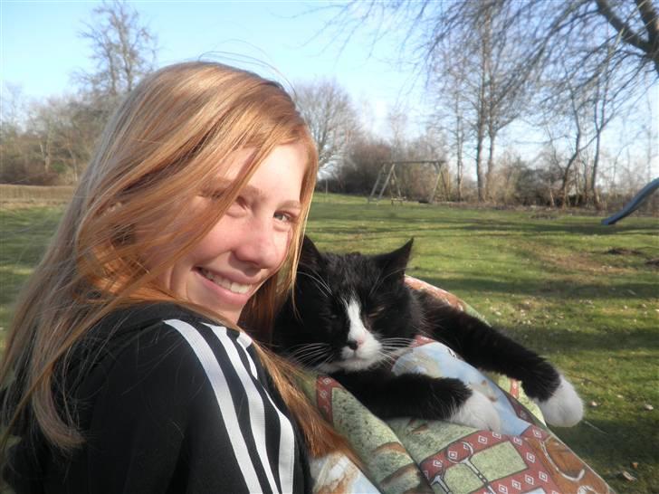 Huskat Smokingkat FredeBo's Mille - Min lille pige ;) billede 8