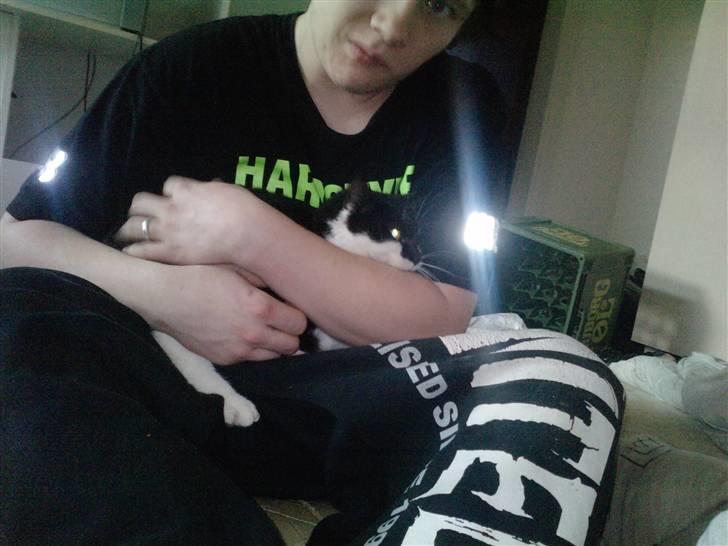 Huskat Blackie R.I.P - her er blacki hos min forloved billede 5