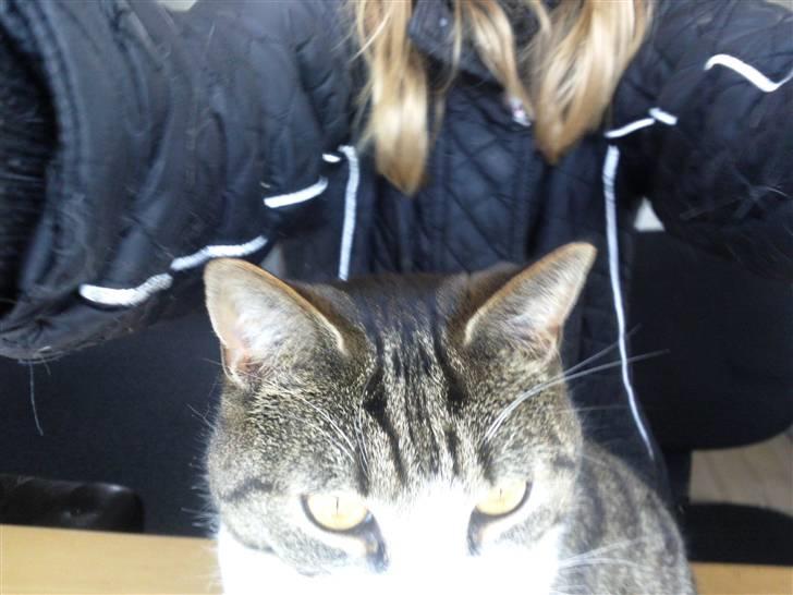 Huskat timmi :) billede 17