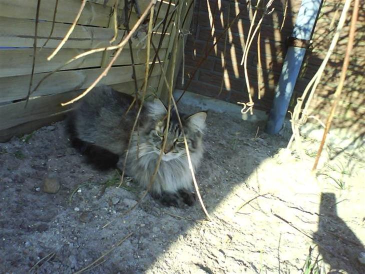 {{currentPhoto.altText}} billede {{currentPhoto.number}}