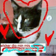 Blanding af racer Mille