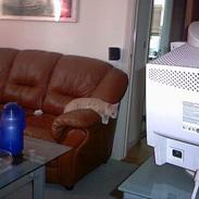 Blanding af racer F***fjæs 