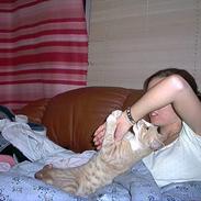 Blanding af racer F***fjæs 