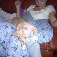 Blanding af racer F***fjæs 