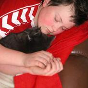 Blanding af racer katelysater