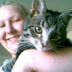 Blanding af racer Tiger