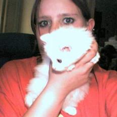 Blanding af racer Snowball