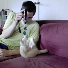 Blanding af racer Pjevs