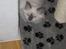 Hellig Birma Fabulous Lizzy - Lizzy her<3