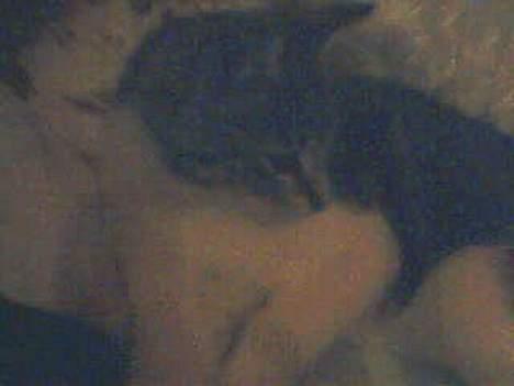 Blanding af racer Tot - Men hun er da sød ikk billede 5