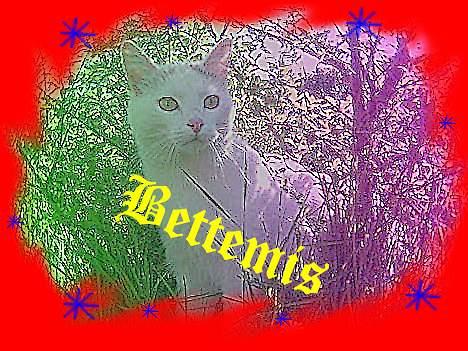 Huskat Bettemis - Lavet af Christine P billede 17
