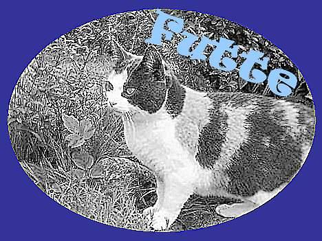 Huskat Futte - Lavet af Christine P billede 20