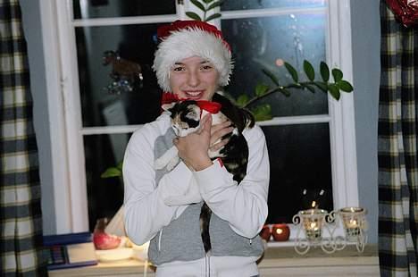 Huskat Bellamiss - Jul <3 2004 billede 2