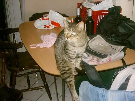 Blanding af racer mickey billede 8