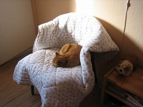 Blanding af racer Mille - R.I.P. billede 19