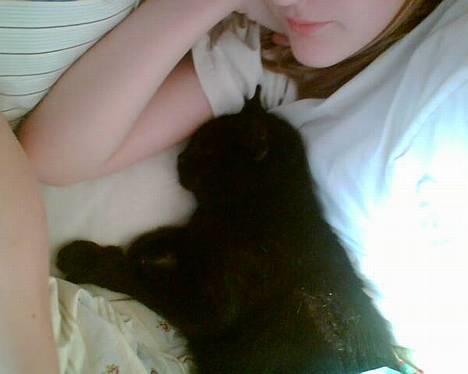 Blanding af racer Emma <3 *R.I.P.* - jaaa sådan lå hun jo bare :-) halvt ude og halvt indeunder dynen, klemt mellem to piger lå hun bare og puttede ;D billede 3