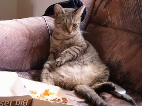 Blanding af racer perle billede 20