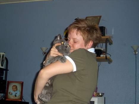 British Shorthair Laban  R.I.P. 26/7-2006 - uhmm bliv ved mor billede 7