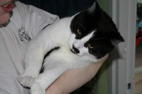 Huskat Oliver - Jeg gider ikke mor.. billede 4