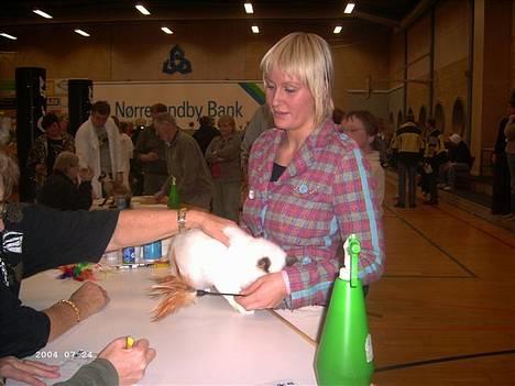 Hellig Birma Europa - (død 13/3-06) - Så skal jeg vises frem... (19-11-05) billede 17