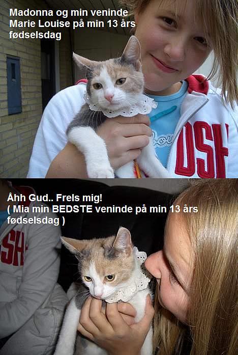 Blanding af racer † Madonna - DØD †   - Mia og P billede 12