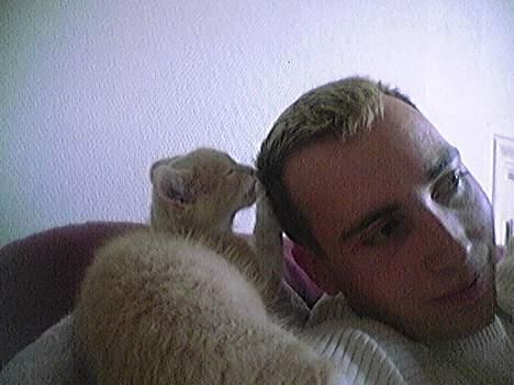 Blanding af racer Pjevs - Far, altså.. hmm, nu ska jeg nok ordne dit hår for dig..  billede 16