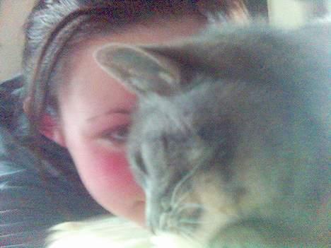 Blanding af racer Sille, *DØD 3/4 -06* - Se hvordan hun nyder det, og så kommer er den dyb spinden :) mmmm  billede 3