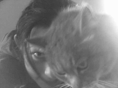 Blanding af racer Sille, *DØD 3/4 -06* - Sille er så tålmodig, hun kan mærke når vi leger, her er vi løver :) billede 5