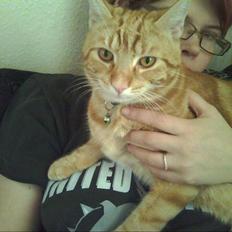 Huskat Spinner † R.I.P †