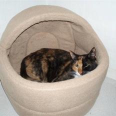 Huskat Shadow (Mussi) - aflivet :-(