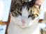 Huskat Trunte<3