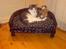 Huskat George Clooney