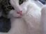 Huskat Felina(Y)<3