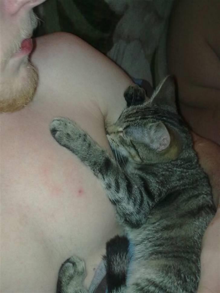 Huskat Psygo billede 7