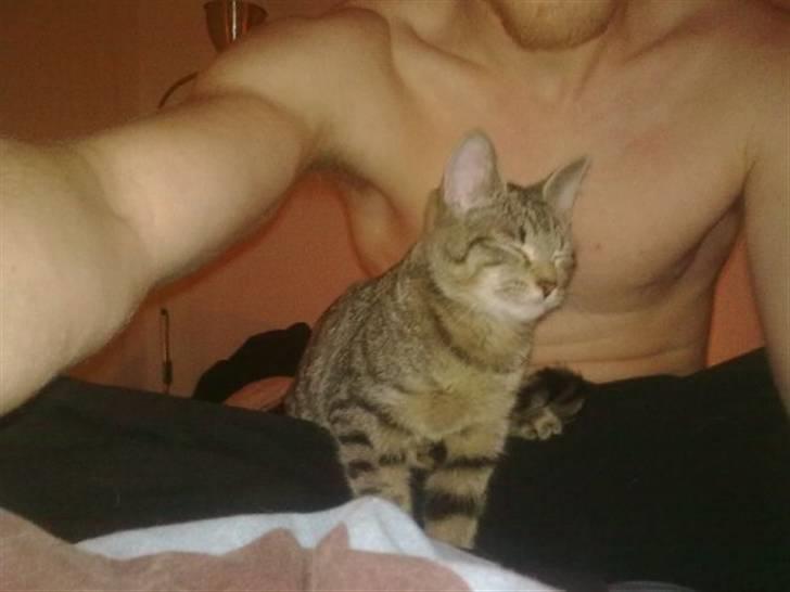 Huskat Psygo billede 9