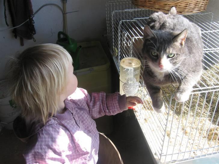 Huskat compani (SOLGT) billede 13