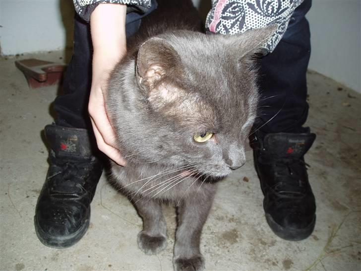 Huskat Hr.Rosa - Kig mig<3 billede 1