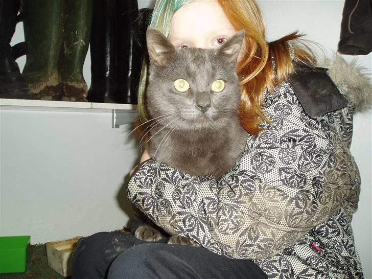 Huskat Hr.Rosa billede 3