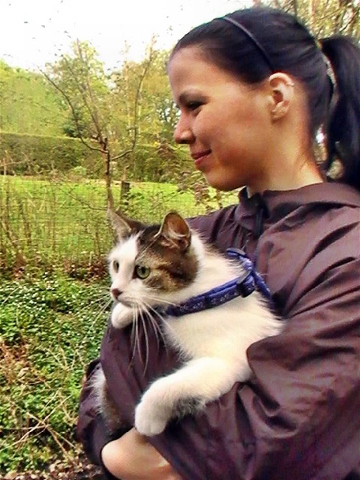 Huskat Tzasiki Elvis Hudini - En rigtig hyggelig solskinsdag med Ida i skoven, dette var hendes sidste tur inden hun får killinger da jeg ikke vil have hun oplever selv den mindste form for stress, selvom hun kun viser tegn på at nyde det. billede 7