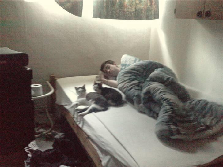 Huskat Tzasiki Elvis Hudini - De 3 mest betydningsfulde personer i mit liv, Familien er samlet i sengen bortset fra mig der selvfølgelig tager billedet og gudselov med det morgenhår jeg har ;) billede 12