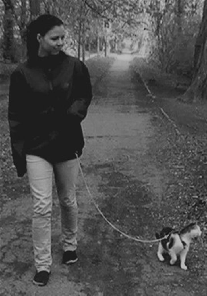 Huskat Tzasiki Elvis Hudini - Hvem siger en hund er mere velopdraget end en kat ;) billede 15